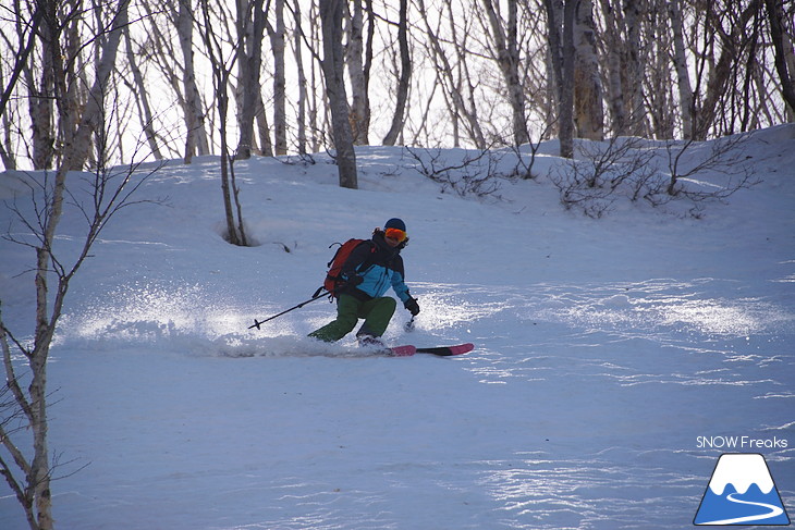 DYNASTAR SKI series Test Ride Days 2017 in ニセコユナイテッド【Day.2】～ニセコグラン・ヒラフ～